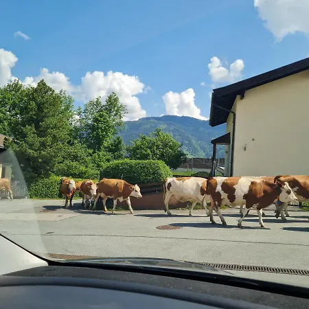 Appartamento The Kitz-view 2 *