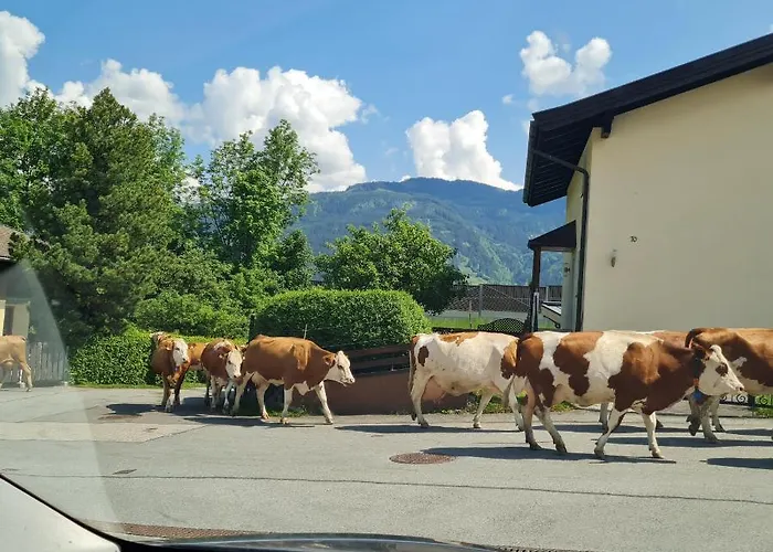 Daire The Kitz-view 2 *