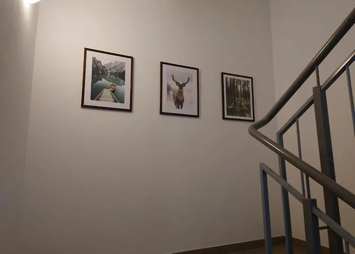 The Kitz-view 2 Daire *